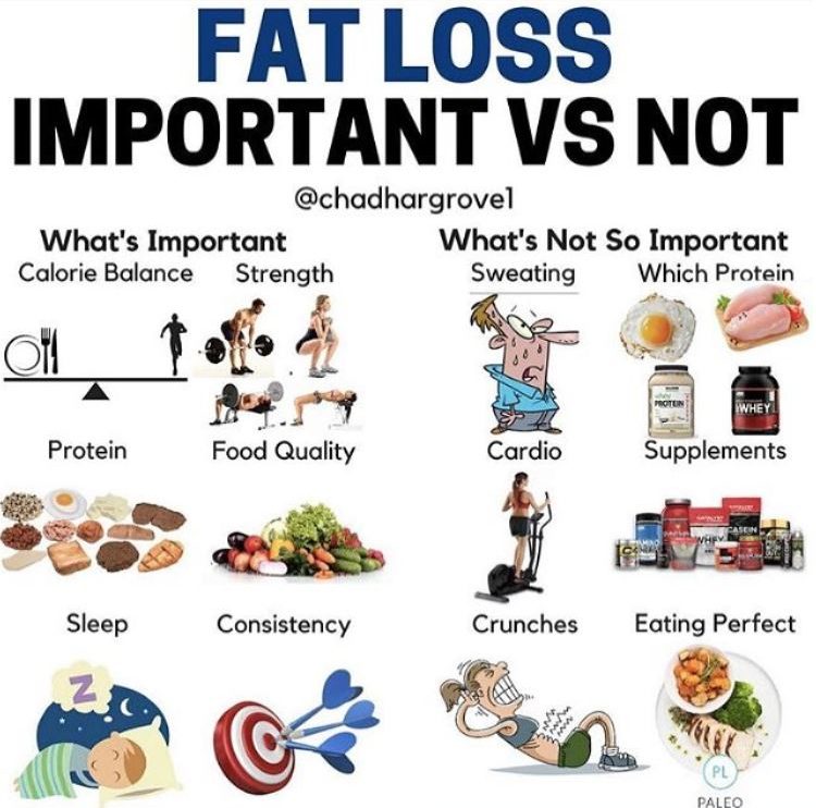 fat loss tips