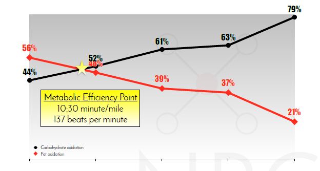 fat burning zone