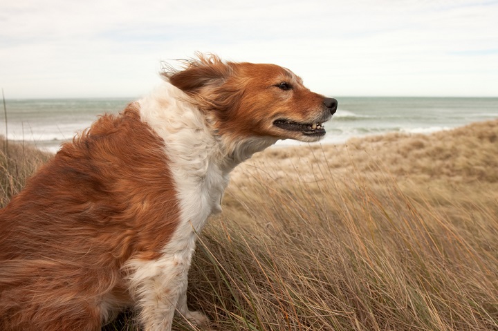 running in to wind