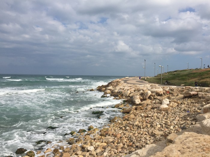 Running along the water in Tel Aviv