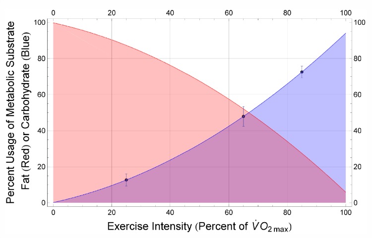 Understanding when you burn fat and when you burn carbs for energy