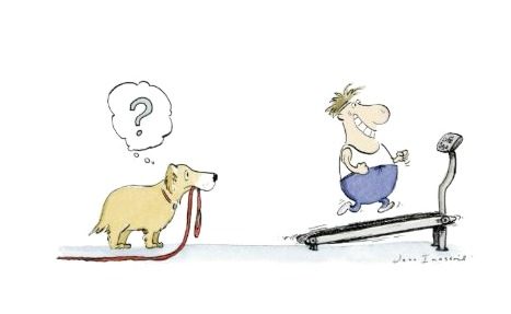 funny card for runners