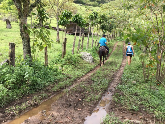 Road to the lodge