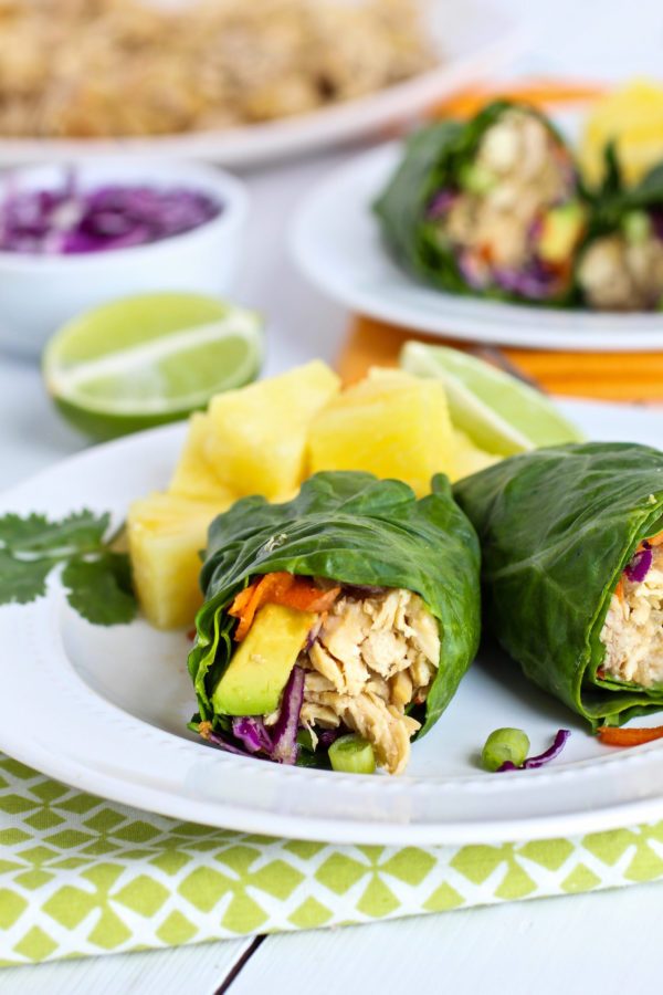 Healthy Slow Cooker Shredded Chicken Recipe and more back to school meal ideas