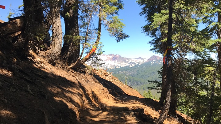 oregon trail race