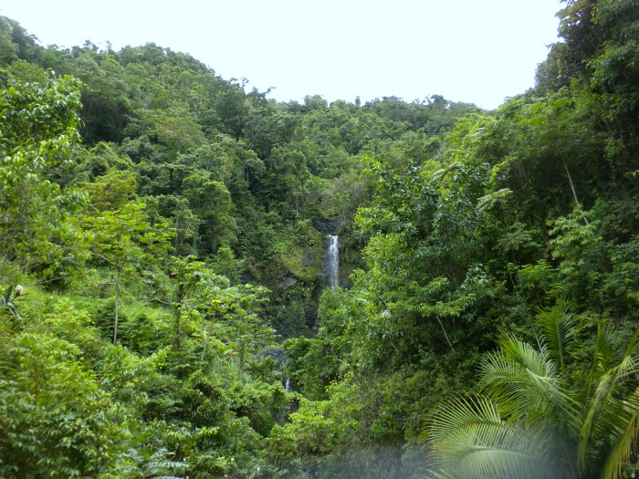 Things to do in Jamaica 