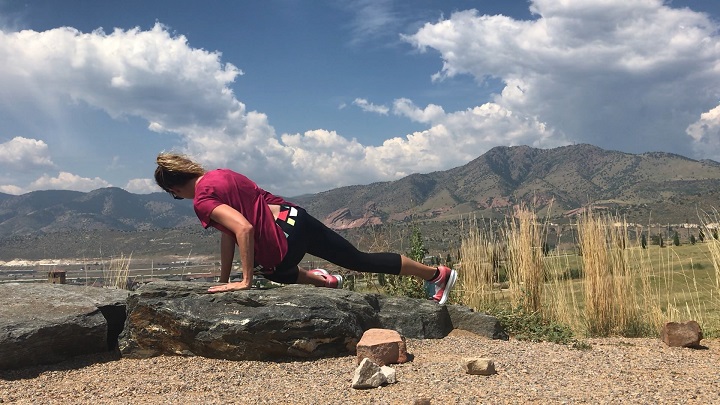 plank rotations
