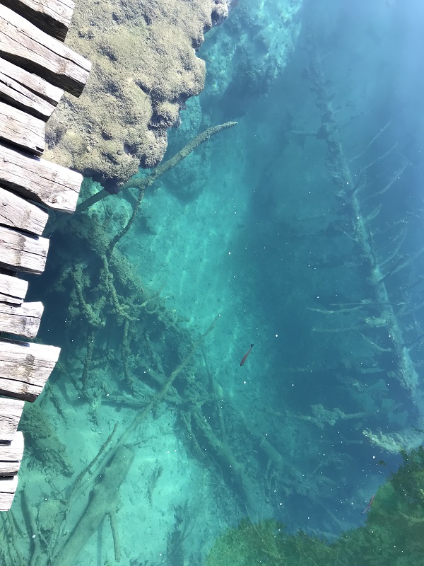 Boards of Plitvice lakes