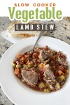 vegetable stew