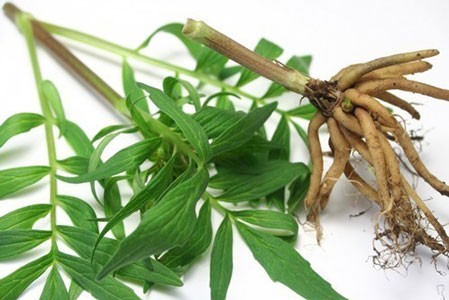 natural sleep aids