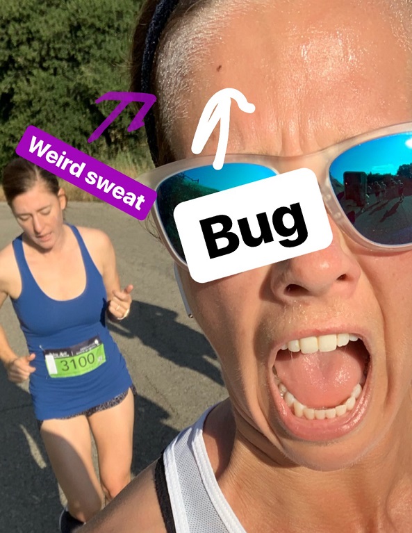 bugs on face