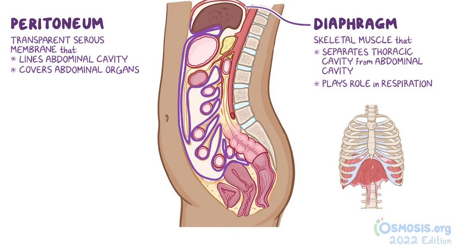 causes of side stitches