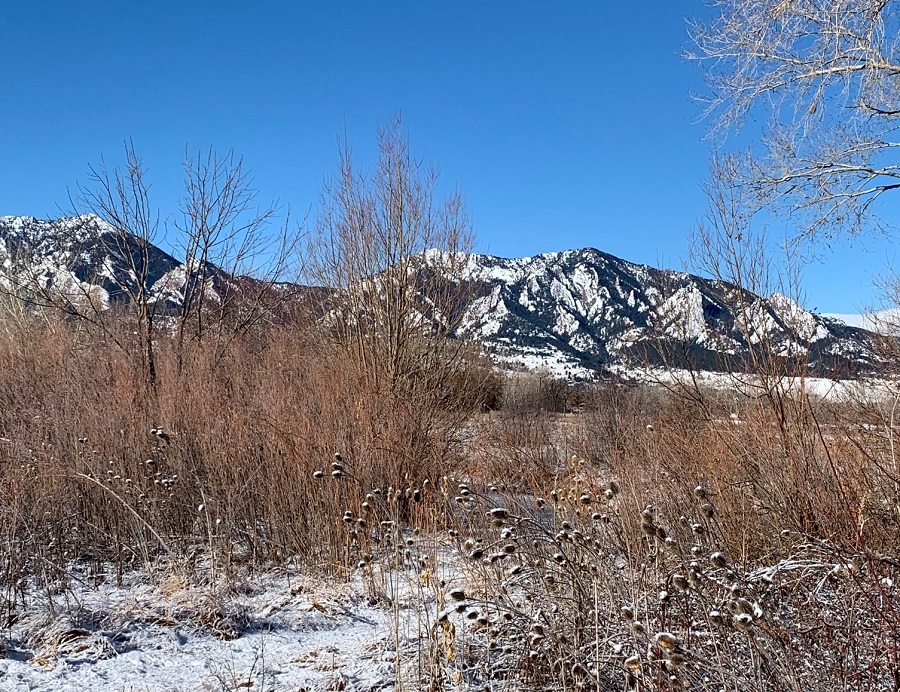Bobolink Trail in Boulder