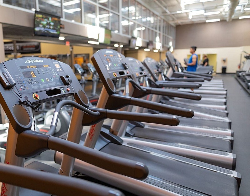 Treadmill Training Guide