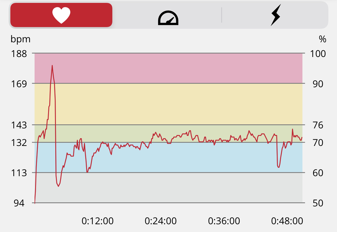 High HR while Running