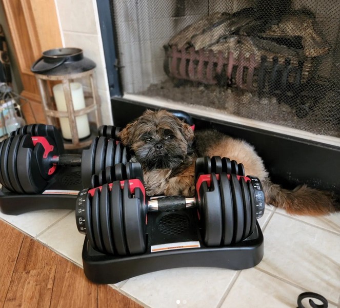bowflex select tech