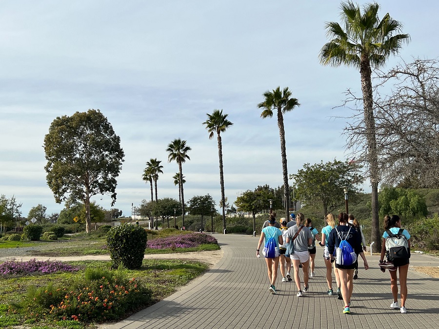 benefits of walking
