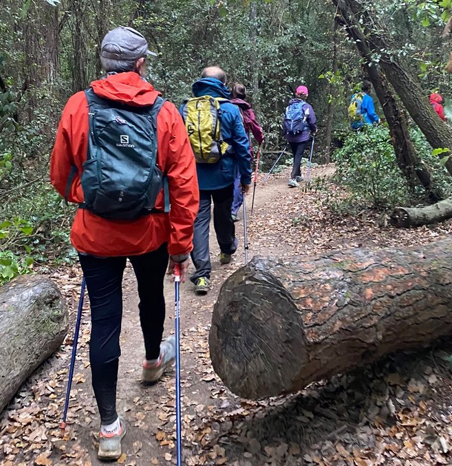 nordic walking benefits