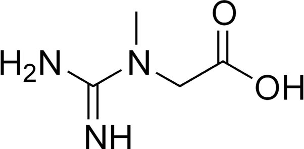 creatine monohydrate for runners
