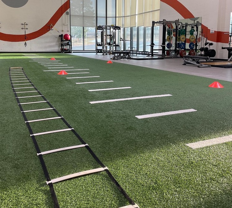 ladder workouts