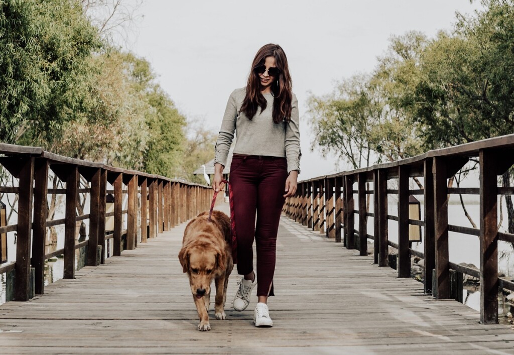 tracking how far you walked