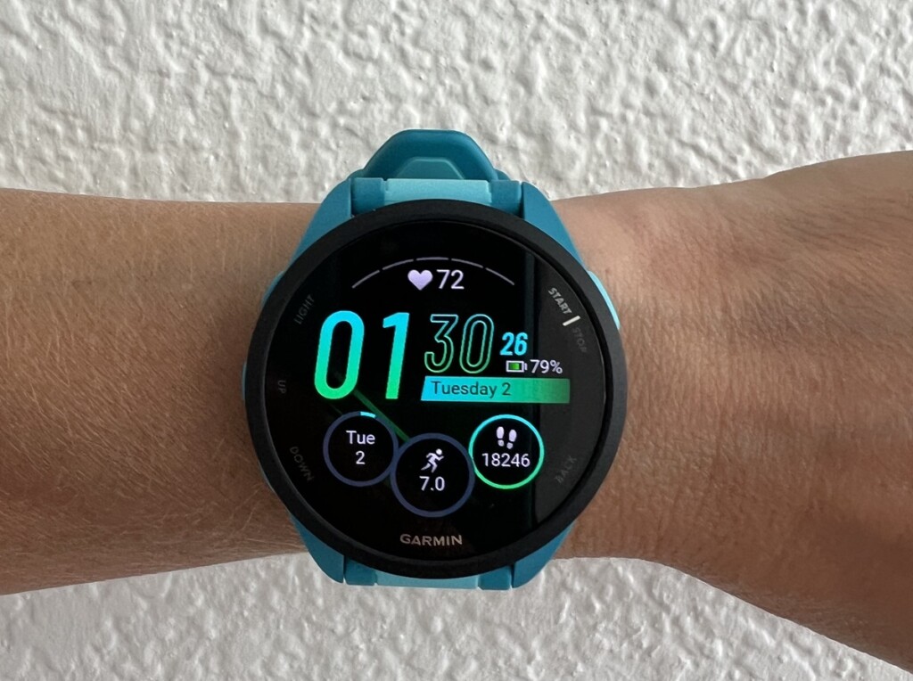 Garmin 165 screen