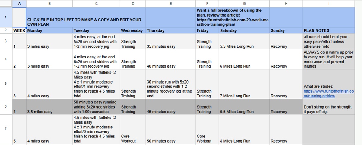 20 week plan example